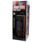 Sing-e Double 10" – Enceinte KTV DJ Haute Puissance avec Bluetooth & LED RVB