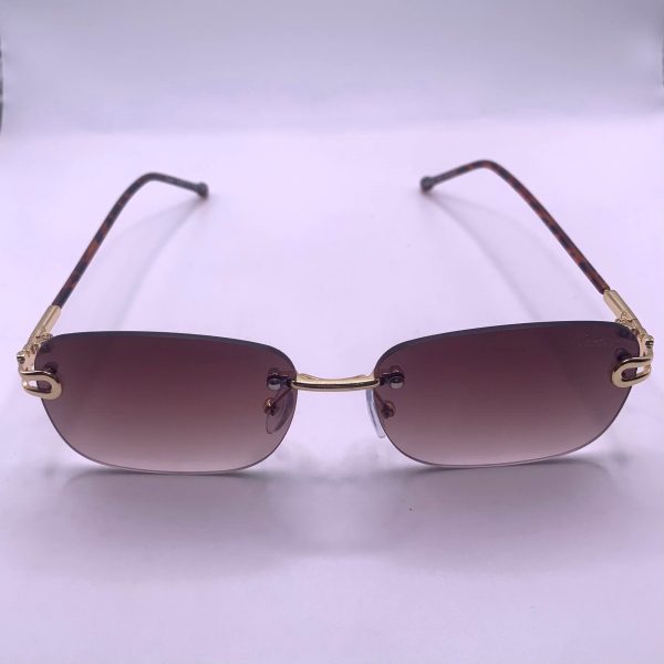 Lunettes de soleil Cartier – Élégance & Protection avec Boîte, Chiffon de nettoyage& streak-free GRATUITEMENT